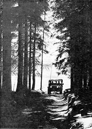 Photo: On their way to patrol the border soldiers from the 2d Armored Cavalry Regiment enter a forest near Brand. August 1974.