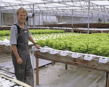 NFT system