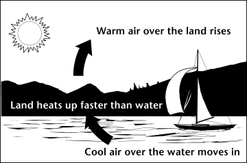 Image of how uneven heating of water and land causes wind.
Land heats up faster than water.
Warm air over the land rises.
Cool air over the water moves in.